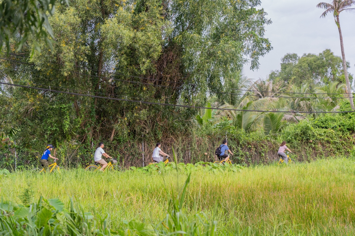 CSR Team Building activities Ho Chi Minh City: Four Formats That Connect Teams and Communities Environmental Campaigns