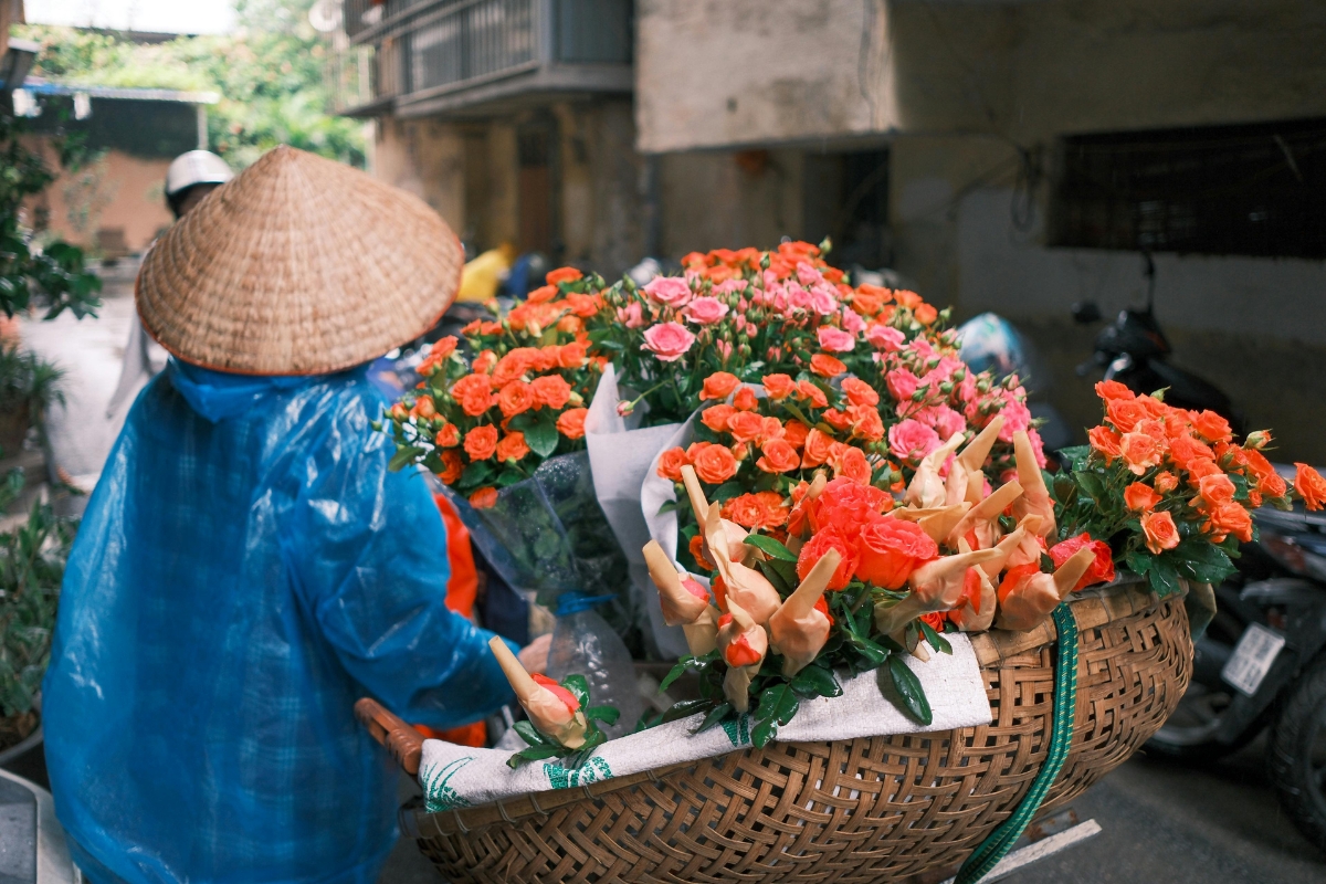 CSR and Purpose-Led Options in Hanoi