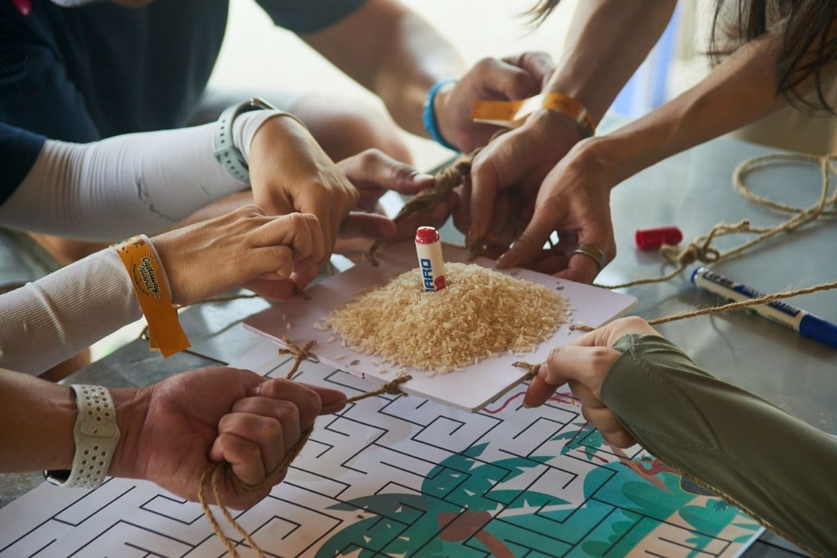 Island Team Building in Vietnam: Top 6 Choices best islands for corporate groups — island team building vietnam