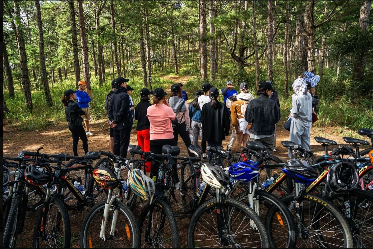 overview of the best nature team building activities — nature team building vietnam