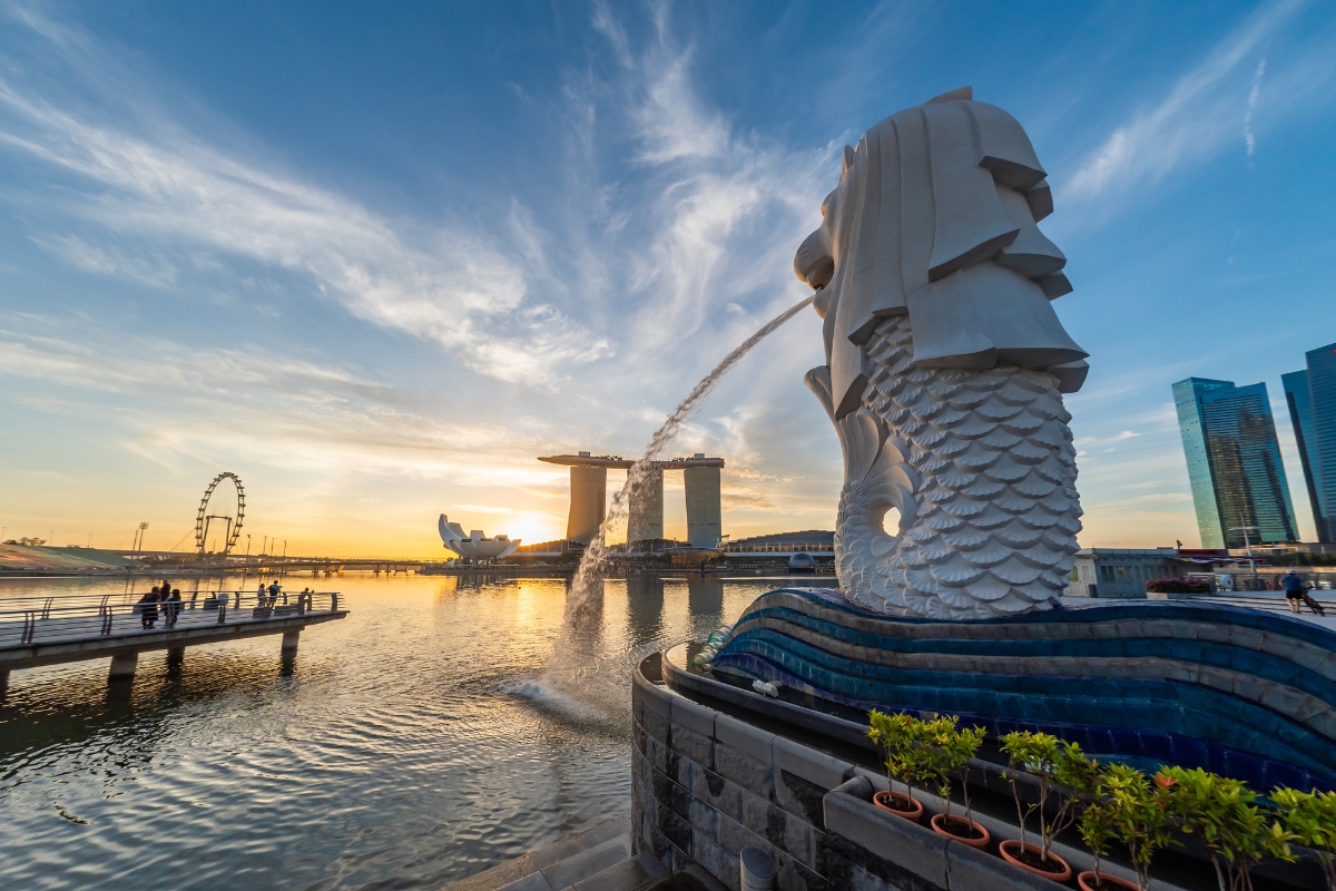 Company Trip Cost: Singapore to Vietnam what is the cost structure
